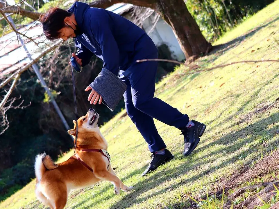 代表取締役　堀 貴彦